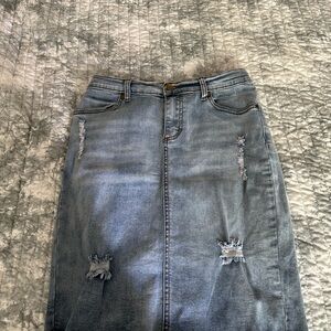 Evy’s Tree The Denim Skirt